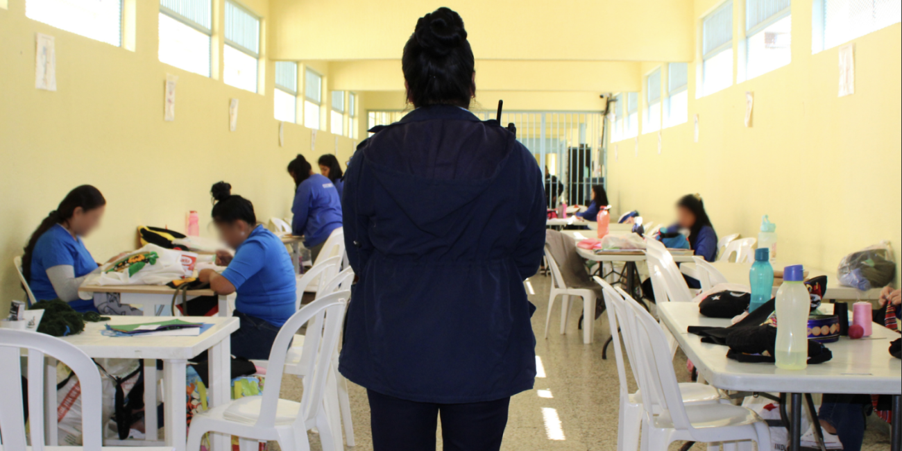 disciplina2