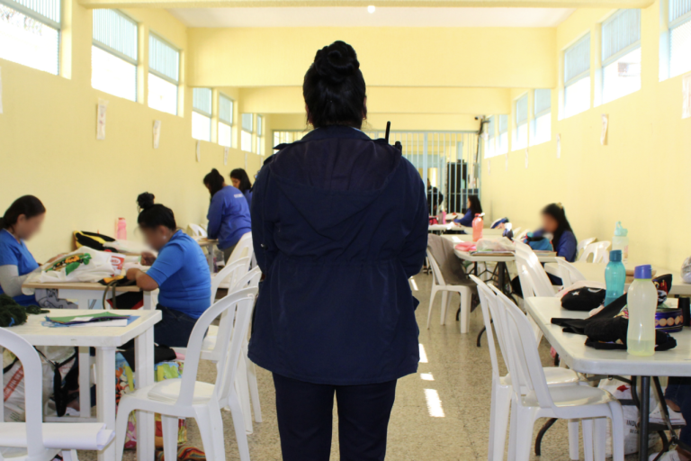 disciplina2